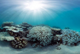 Maldives urges rich countries to rapidly ratify Paris climate agreement 